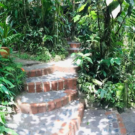 Cabanas Armonia Y Jardin De Orquideas Mindo Exterior photo