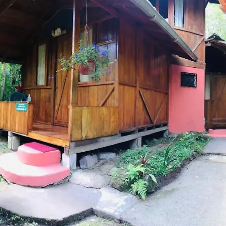 Cabanas Armonia Y Jardin De Orquideas Mindo Exterior photo