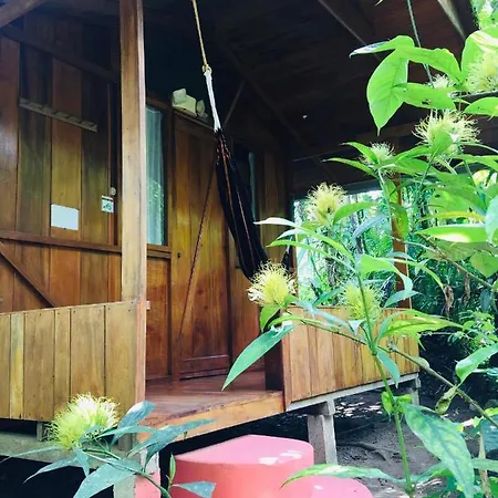 Cabanas Armonia Y Jardin De Orquideas Mindo Exterior photo