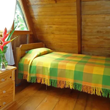 Cabanas Armonia Y Jardin De Orquideas Mindo Room photo