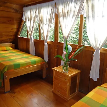Cabanas Armonia Y Jardin De Orquideas Mindo Room photo