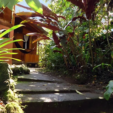 Cabanas Armonia Y Jardin De Orquideas Mindo Exterior photo