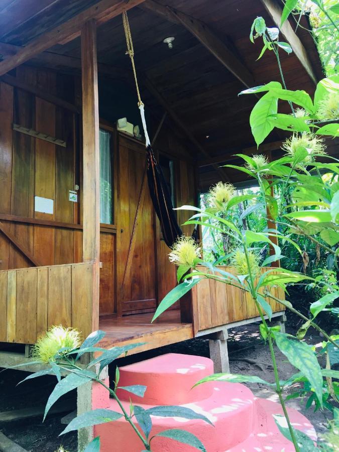 Armonia Y Jardin De Orquideas Lodge