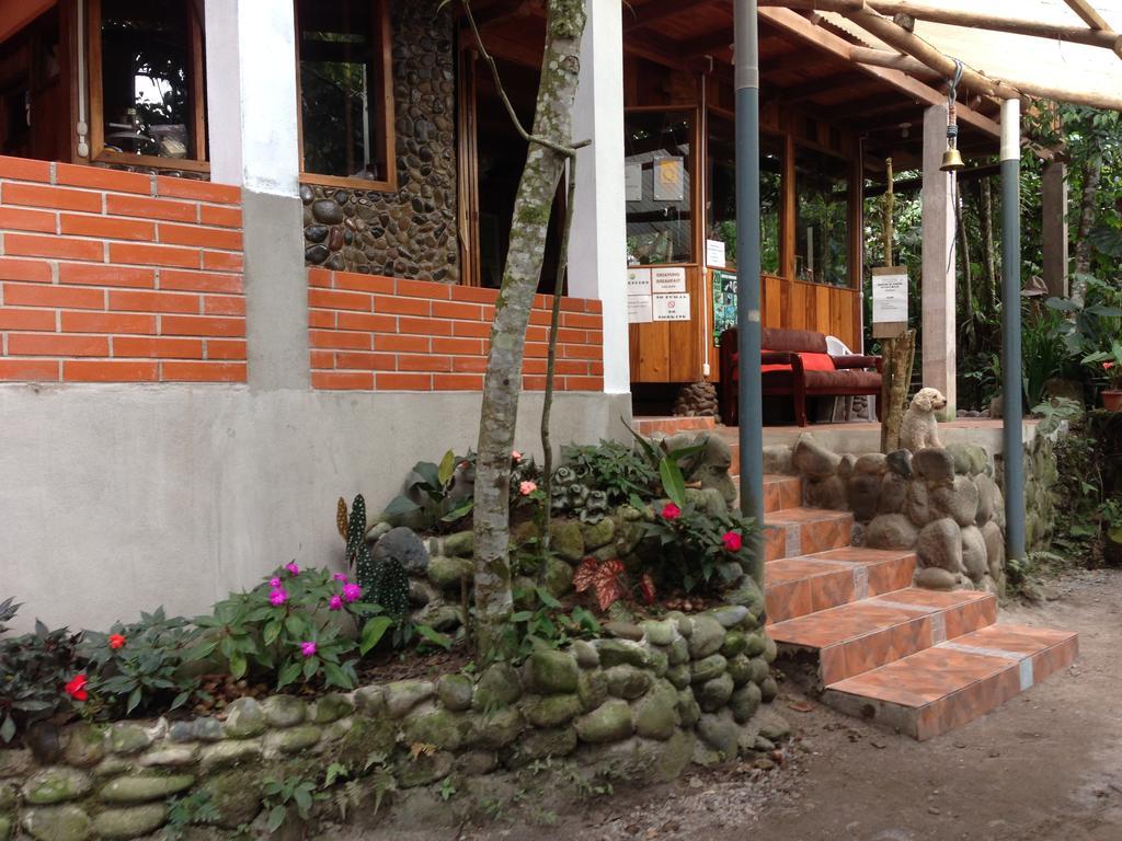 Armonia Y Jardin De Orquideas